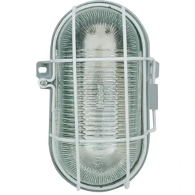 چراغ تونلی 100 وات دلند الکتریک مدل دیواری