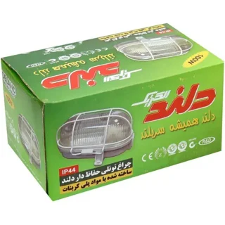 چراغ تونلی 100 وات دلند الکتریک مدل دیواری